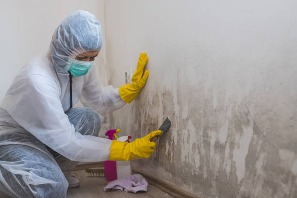 Best Mold Inspection  in Keshena, WI