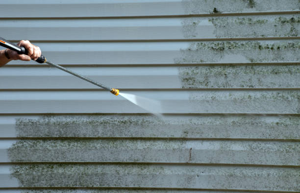 Best Residential Mold Removal  in Keshena, WI