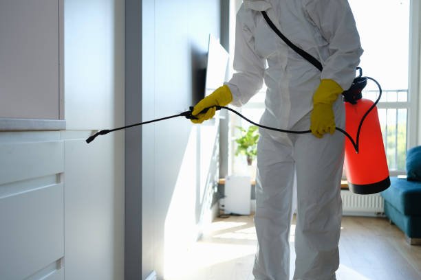 Best Black Mold Removal  in Keshena, WI