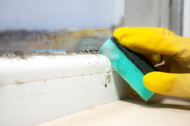 Best Affordable Mold Removal  in Keshena, WI