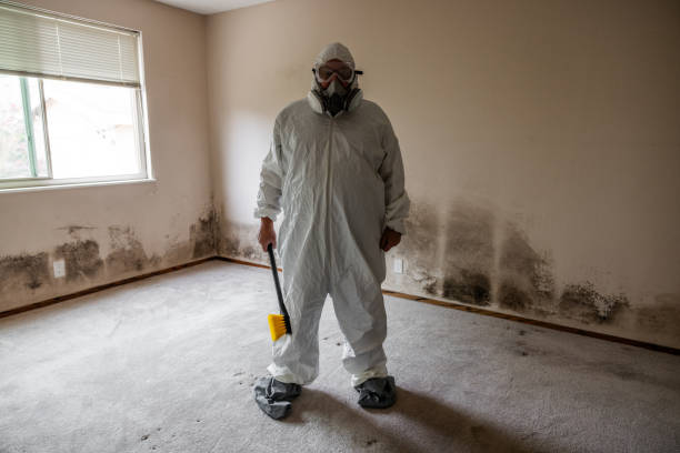 Best Toxic Mold Removal  in Keshena, WI