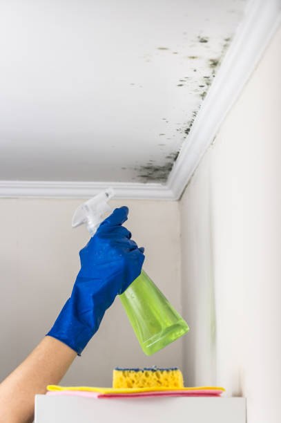 Best Crawl Space Mold Removal  in Keshena, WI