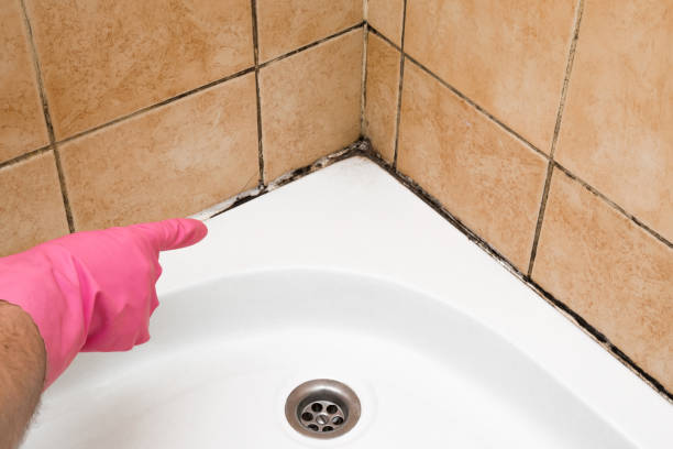 Best Mold Removal Process  in Keshena, WI